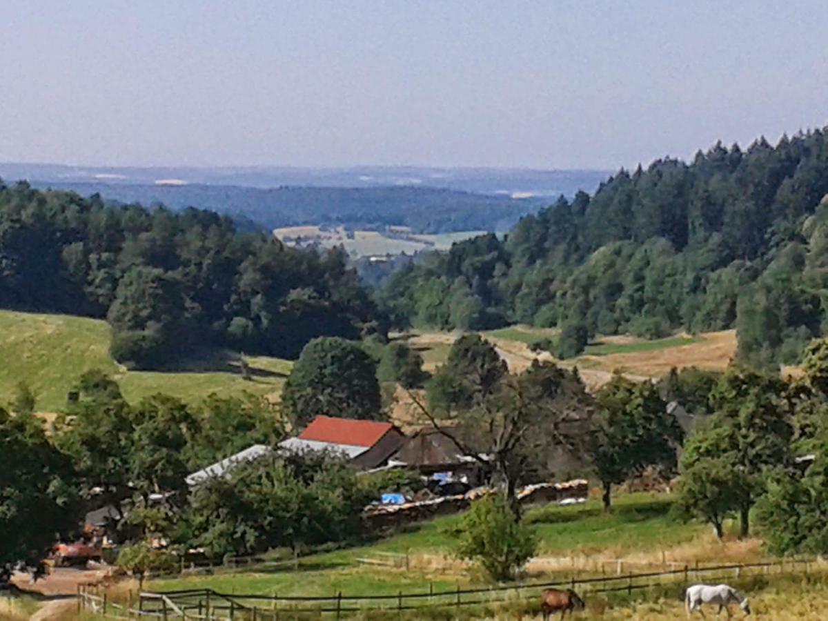 Fewo Darsberg Neckarsteinach Zewnętrze zdjęcie