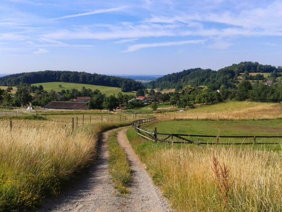 Fewo Darsberg Neckarsteinach Zewnętrze zdjęcie